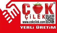 &Ccedil;ok &Ccedil;ilek